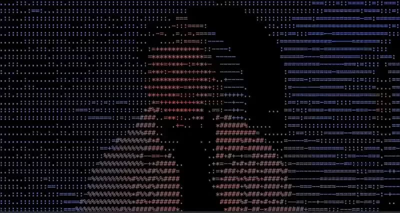 A video frame converted to ASCII art: a figure's head and torso drawn in dense characters such as # and @ against a black background